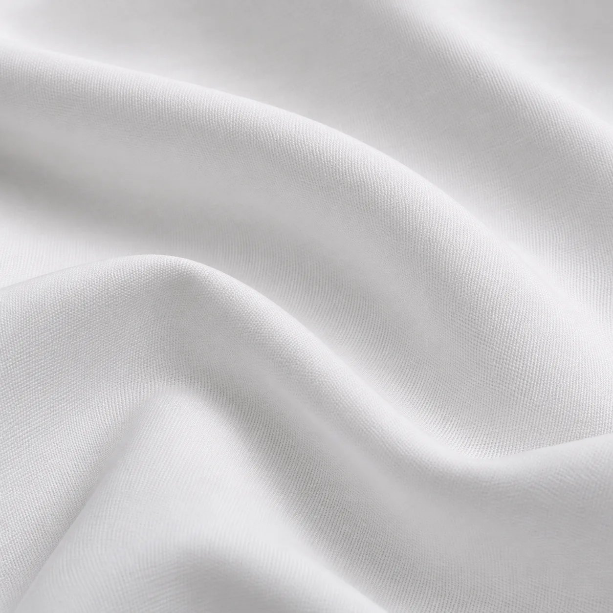 Cotone bianco - dettaglio 2