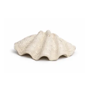 Conchiglia porta ostriche - dettaglio 2
