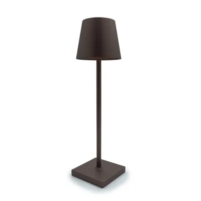 Lampada LED bronzo - noleggio lampade e lampade led Montineri